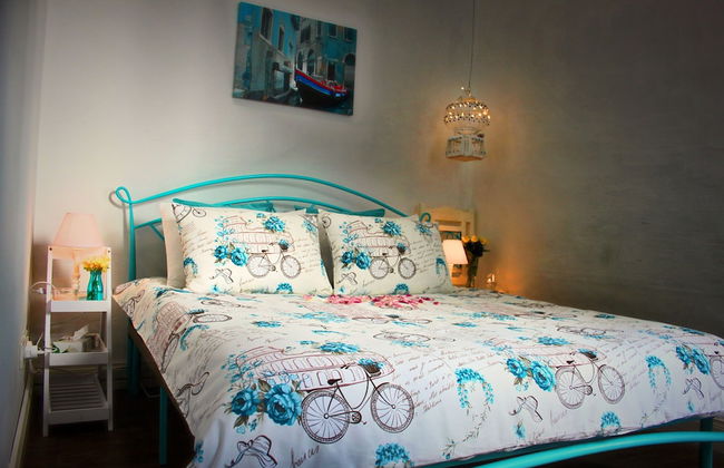 Maltese Maltese - Foto 52