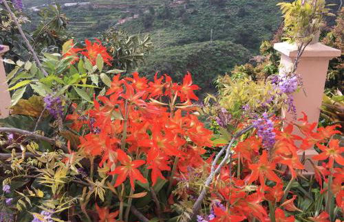 Casa Ayane - Foto 11