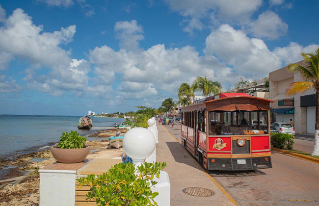 Cozumel Tram Tour - Photo 2