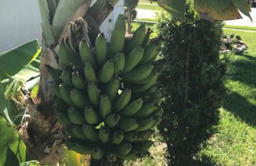 Robin's Nest - Photo 41