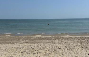 Il nido di Spina - Foto 14