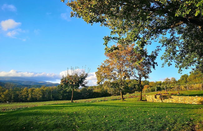 Palazzolo Resort - Anghiari - Photo 25