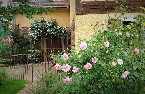 Fachwerkhof Klosterbuch - Foto 20