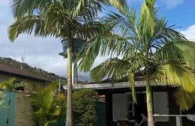 Chalé Flamingo com Piscina Casa inteira em Morretes - Photo 51