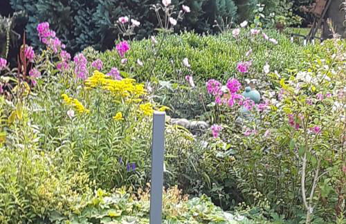 Nordseeferienhaus-Alma - Foto 20