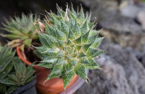 Casa Serafina by Rent-a-key - Foto 17