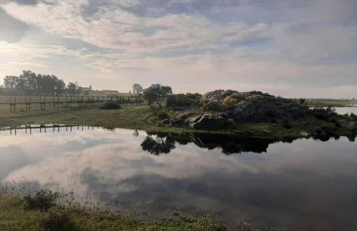 Casa das Andorinhas - Foto 28