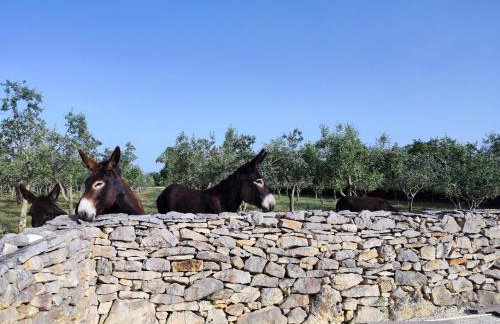 Holiday Home Respira - Foto 48