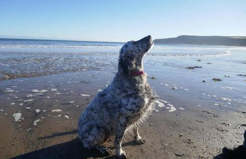 Blacksmith’s Barn - Cosy, Chilled & Dog Friendly. - Foto 8