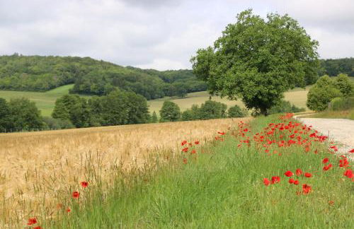 Les Chenevières - Foto 10