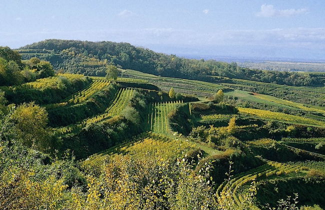 Ferienwohnung in Bischoffingen - Foto 27