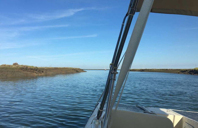 Paseo en barca ecológica por la Ría Formosa - Foto 4