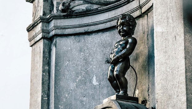 Excursion à Bruxelles et Bruges - Photo 4