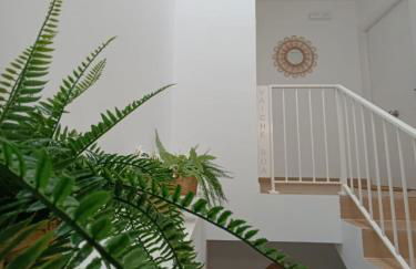 Vaiche Boa! - Foto 2