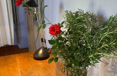 Castello Stella in Vaglio Serra ,Monferrato unesco - Photo 41