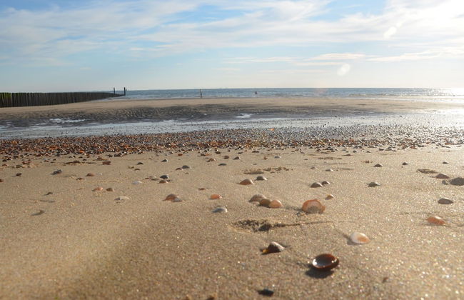 Apartment in Koudekerke Near Seabeach - Foto 12