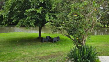 Menthe - Foto 5, Garden