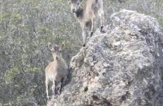 Casa rural La Libelula Ayna - Foto 24