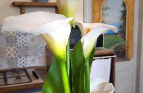 La Reginetta Holiday Home - Foto 19