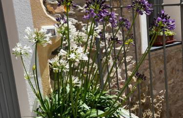 Agriturismo Le Merline - Foto 8