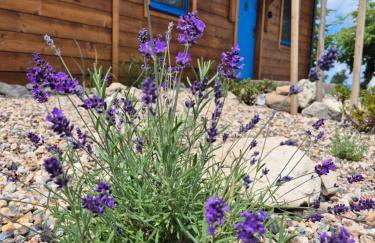 Chata Bławatek Kowary - Foto 30