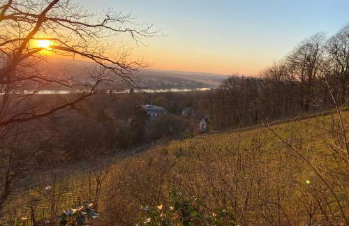 Ferienwohnung Natur und Kunst - Foto 25