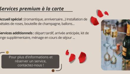 Le Terracotta - Joli studio Metro D Valmy et quais de Saone - wifi inclus - Photo 5