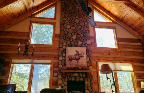 Timber Wolf - Foto 53