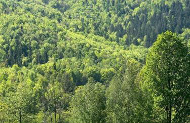 Dom w górach Saganówka Beskidy - Foto 79