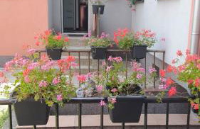 Hory Opawskie - Foto 24