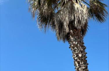 The beachside coquette - Foto 13