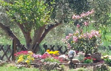 Villa Nafplion private pool garden bbq 5' sea - Foto 37