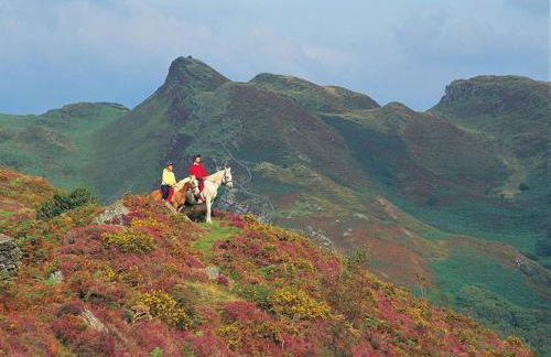 2 Bed in Aberdyfi oc-78258 - Photo 13