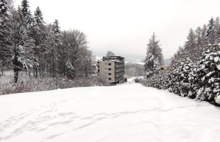 Czarodziejska Góra Kozubnik Daglezja - Foto 21