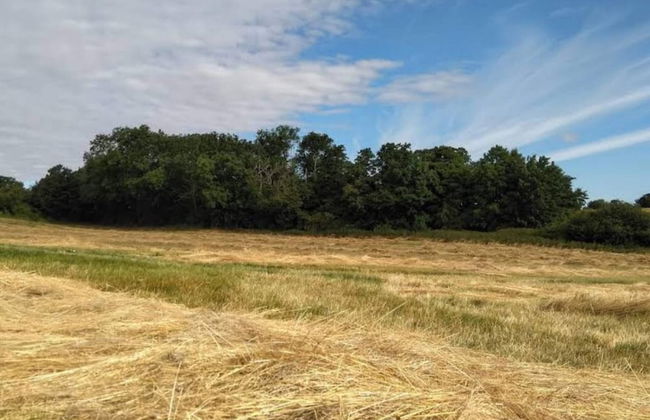 6 Person Holiday Home in Ronde - Foto 11