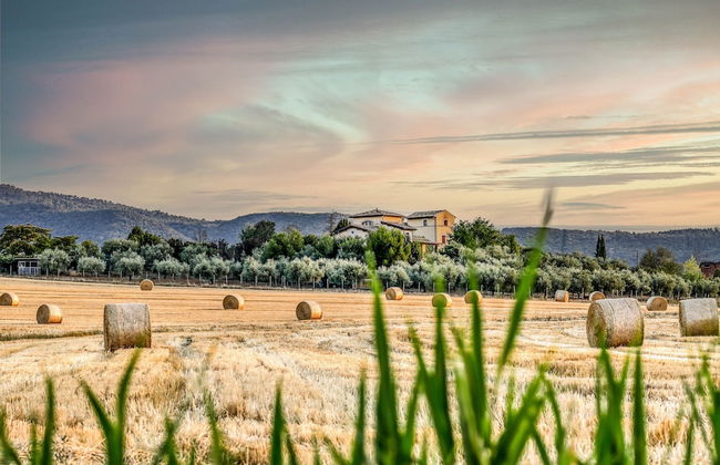 Agriturismo Regno Verde - Photo 44