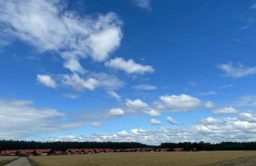 LEŚNY KĄCIK - Foto 27