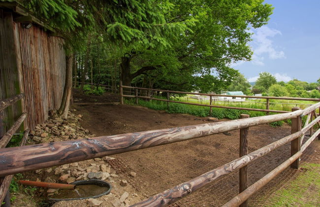 Luxurious Farmhouse Near the ski Area - Photo 17