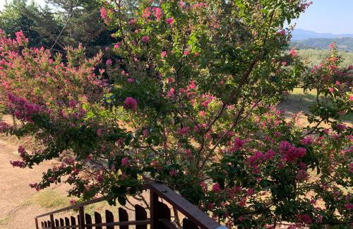 Casale Ugo e Letizia - Foto 20