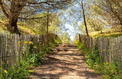 Maison de pêcheur au calme - Photo 17