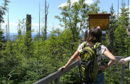 Apartment Wildfeuer by Interhome - Foto 12