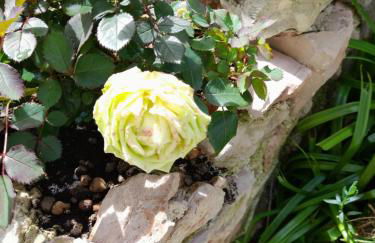 Appartamento Rosanna - Foto 59