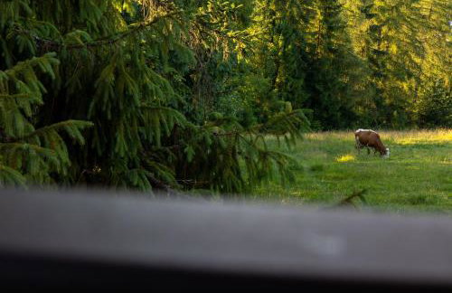 Bliżej Nieba- Rzepiska-Bukowina Tatrzańska - Foto 30