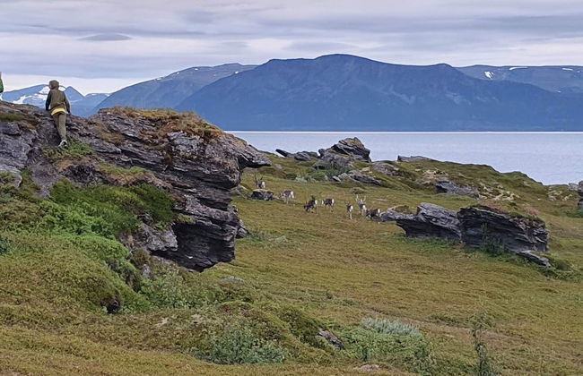 6 Person Holiday Home in Svensby-by Traum - Foto 39