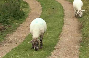 1 Bryn Tirion Uchaf - Foto 4