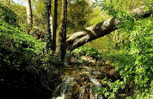 Casa del Mandorlo 8 Emma Villas - Foto 24