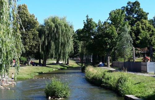 Tinyhaus im Altmühltal - Foto 7