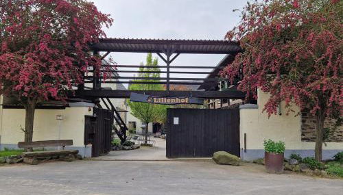 Moderne Ferienwohnung Black Beauty auf idyllischem Reiterhof nähe Burg Eltz - Foto 2