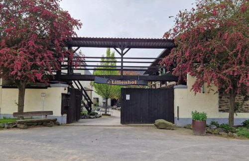 Moderne Ferienwohnung Black Beauty auf idyllischem Reiterhof nähe Burg Eltz - Foto 2
