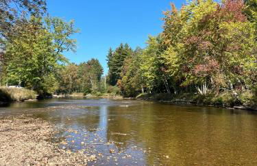 Stylish Forest Lodge with Large Hot Tub, Firepit and Fireplace 5 minutes to Gore Mountain - Photo 75